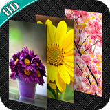 HD Flower Wallpapers 4K 2018 icône