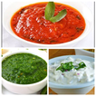 200+ Chutney recipes in Hindi