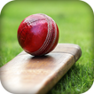 Cricket Live Score