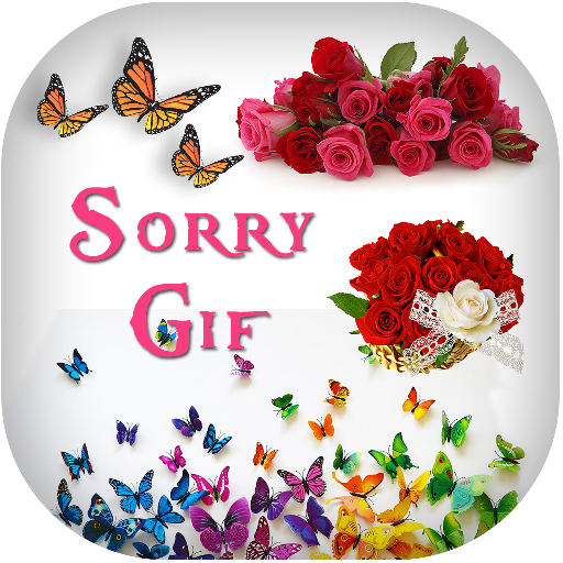 Sorry GIF Collection