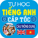 Common English Sentences Free APK