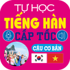 Basic Korean sentences Free APK