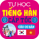 Basic Korean sentences Free أيقونة