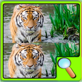 Find The Tiger Differences