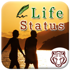 Life Status ícone