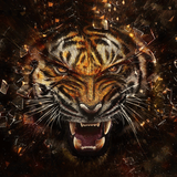 Golden Tiger ไอคอน