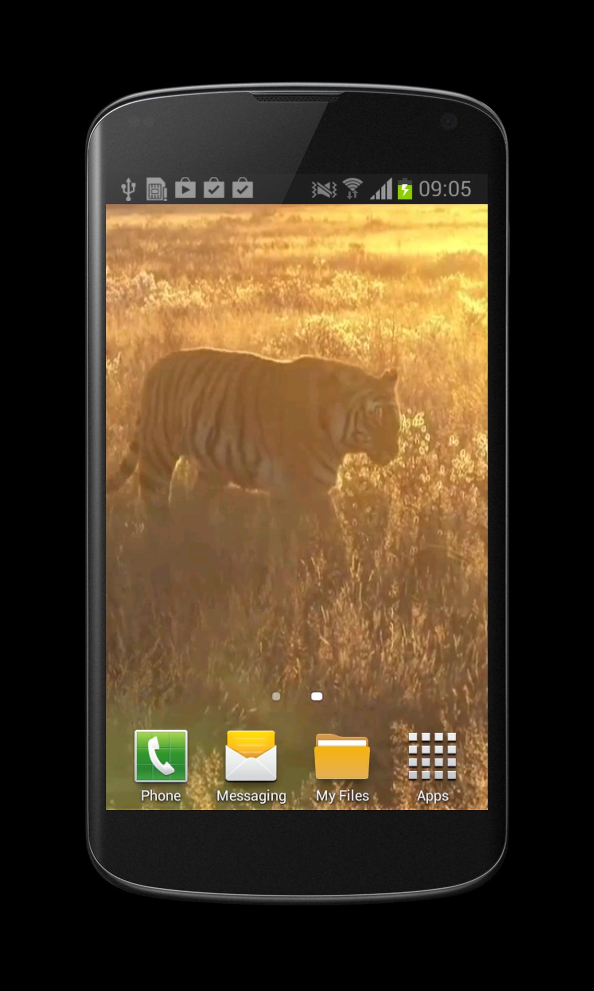 Tiger Free Video Wallpaper For Android Apk Download - offline tiger applications center v2 roblox