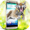 Wild Tiger hungry in phone screen scary joke