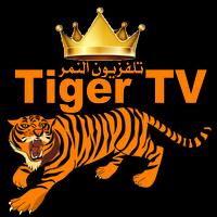 Tiger TV Affiche