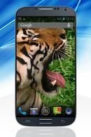 Tiger Live Video Wallpaper plakat