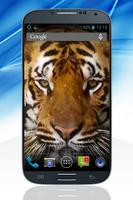 2 Schermata Tiger Live Video Wallpaper