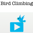 Bird Climbing icône