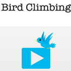 Bird Climbing icon