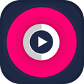 DJ Dish Spinner