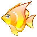 Angry Fish APK
