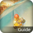 Guide for Mario Kart 8