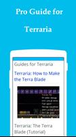 Guides for Terraria poster