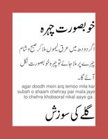 Tips in Urdu ( beauty, health, kitchen) capture d'écran 3