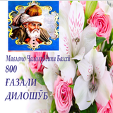 800 ғазали дилошӯб ícone