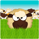 Sorting sheep APK