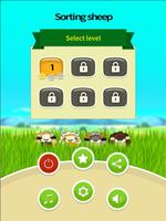 Sorting sheep โปสเตอร์