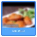 Guide Stellar