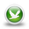 Online Birds Classified APK