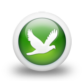 Online Birds Classified icon