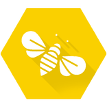 Queen Bee Rearing PRO