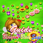 Level Up Guide Blossom Blast S icono