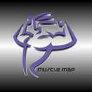 Muscle Map -Exercise & Fitness APK