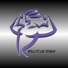 Muscle Map -Exercise & Fitness icon