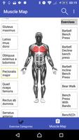 Muscle Map -Exercise & Fitness Affiche