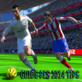 Guide PES 14 Tips