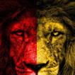 Aslan Wallpaper