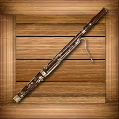 Toddlers Bassoon APK 下載