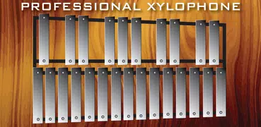 Professional Xylophone