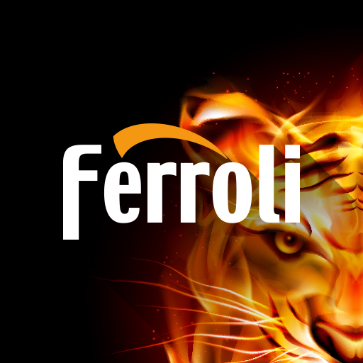 Ferroli Servis