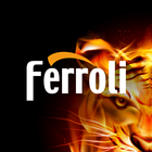Ferroli Servis icon