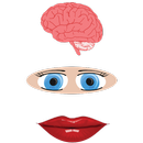 Body Parts For Kids APK