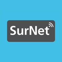SurNet Online işlem Plakat
