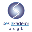 Ses Akademi