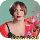 Sezen Aksu icône