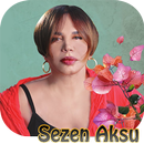 Sezen Aksu - internet olmadan APK