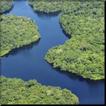 ”Amazon Rainforest wallpaper