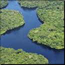 Amazon Rainforest wallpaper APK