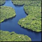 Amazon Rainforest wallpaper ikon