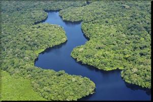 Amazon Rainforest wallpaper bài đăng
