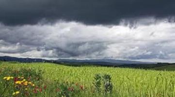 Tuscany Italy wallpaper screenshot 3