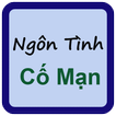 Ngôn tình của Cố Mạn